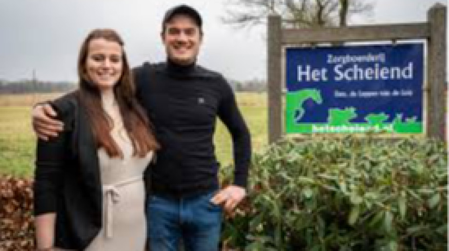 Het Scheiend Oirschot afbeelding 2