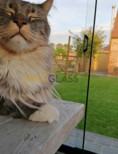 King Glass B.V. Best afbeelding 3 King Glass B.V. Best afbeelding 3