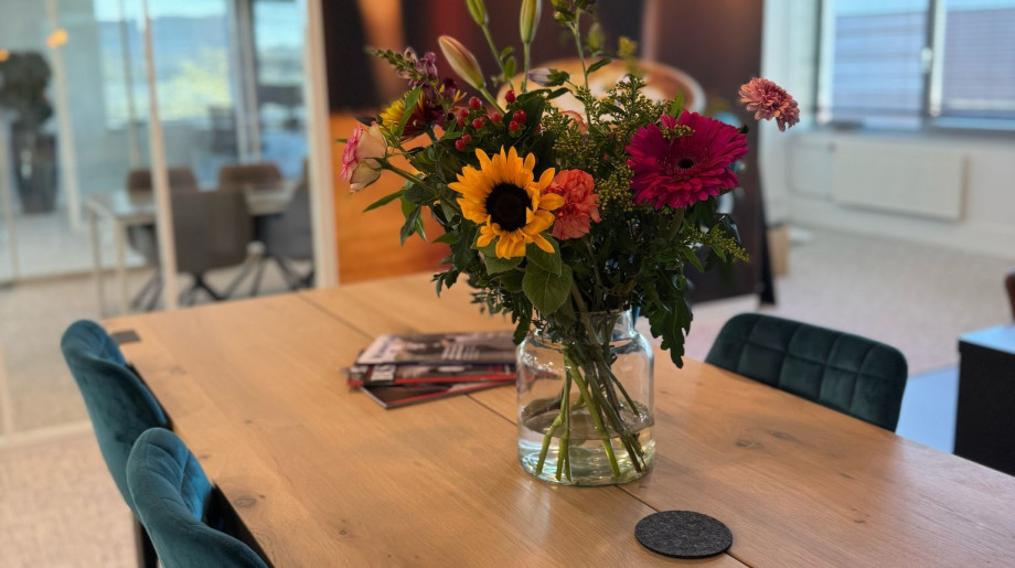 RIVA-IT B.V. Eindhoven afbeelding 4