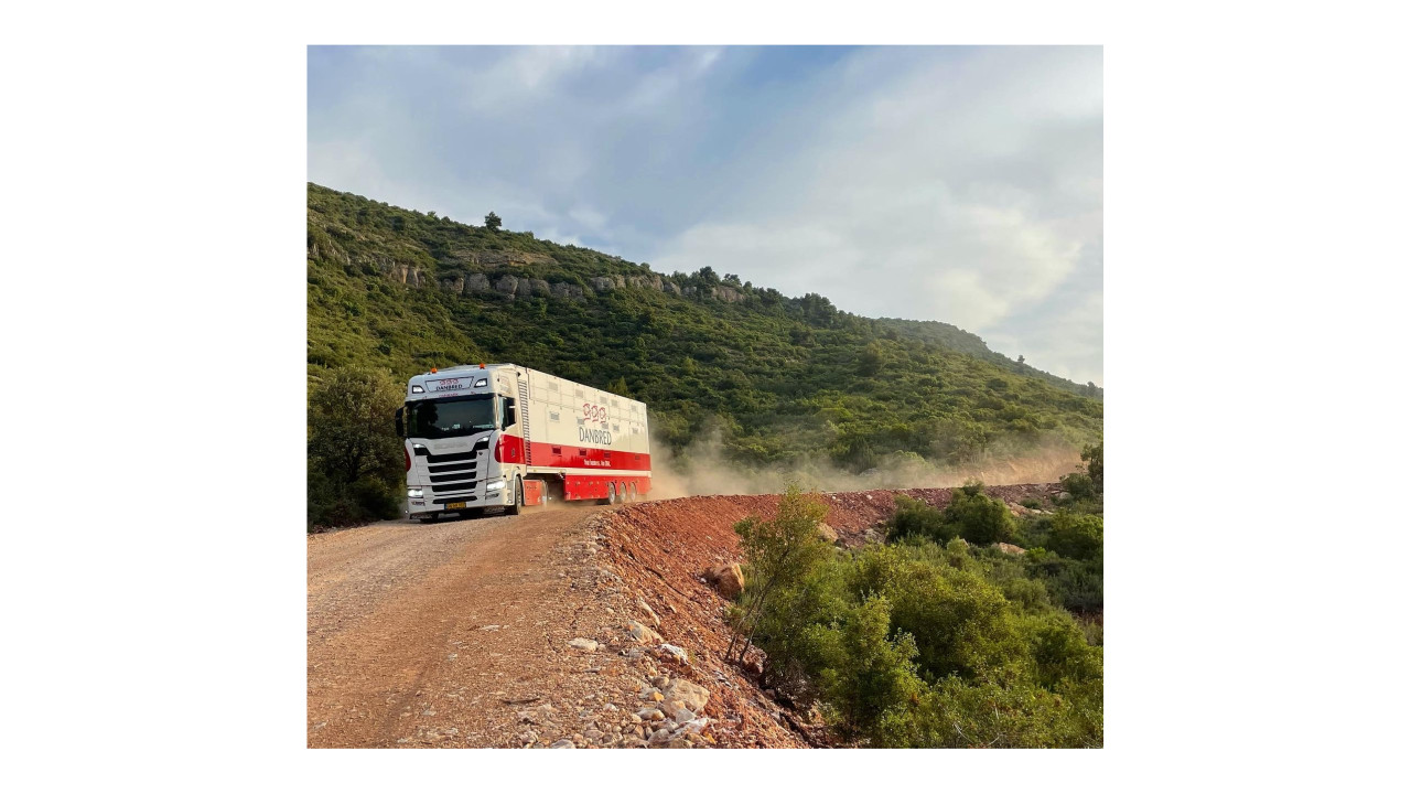 DanBred B.V. Son en breugel afbeelding 6