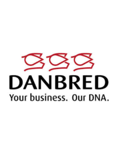 DanBred B.V. Son en breugel afbeelding 5