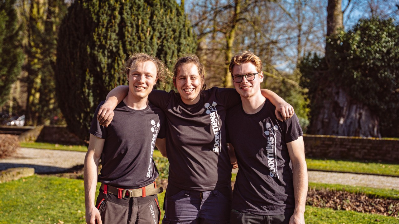 Soontiëns Hoveniers Eindhoven afbeelding 6