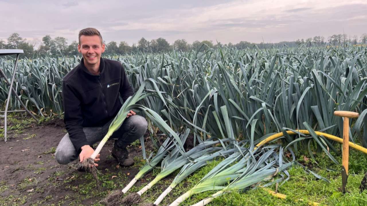 Handelsonderneming Vlamings B.V. Steenbergen afbeelding 1