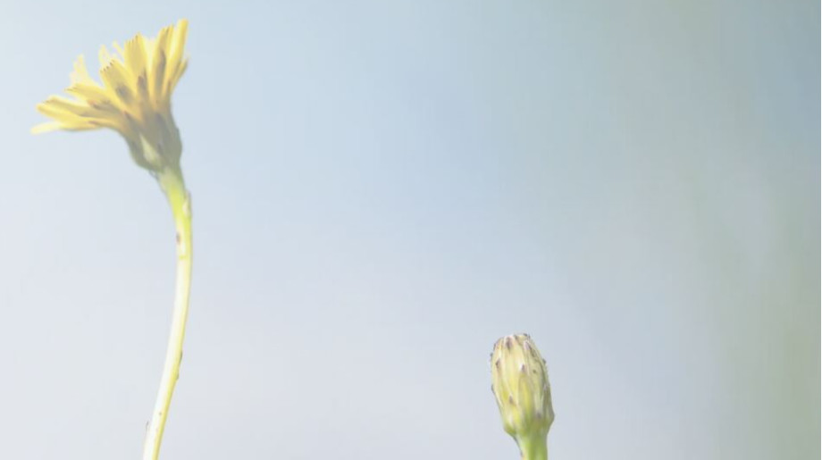 Van Kasteren HR Services Veldhoven afbeelding 2