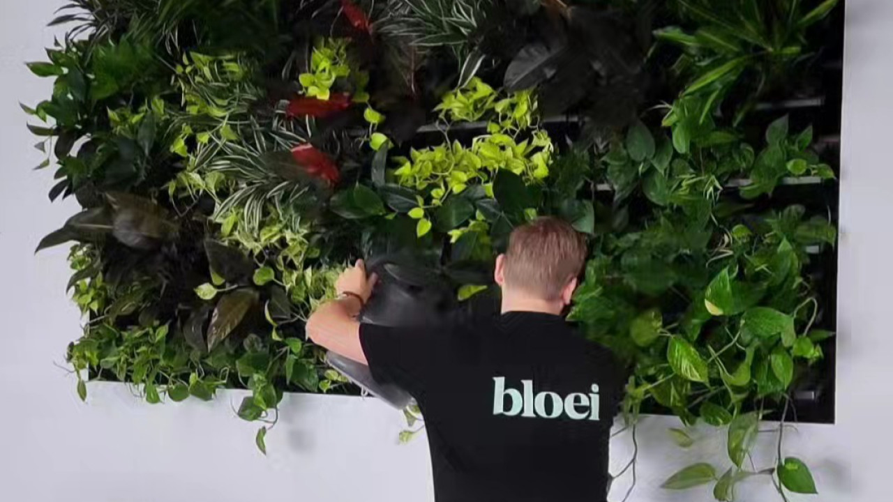 Bloei Interieurbeplanting Eindhoven afbeelding 6