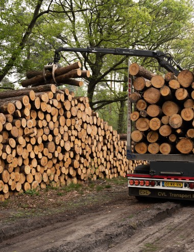 CVL Transport Reusel afbeelding 5