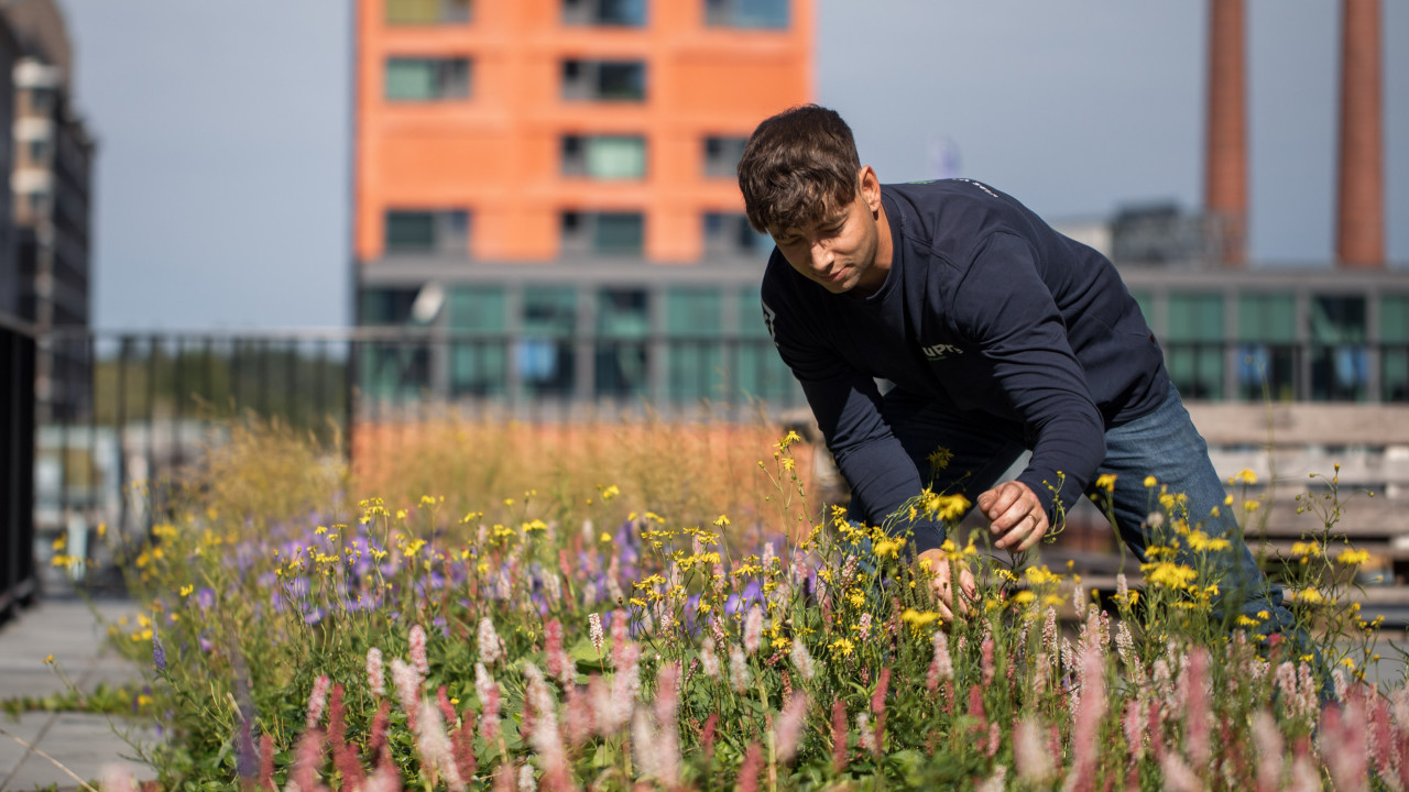 Kultuurtechnisch Hoveniersbedrijf Du Pré B.V. Helmond afbeelding 1