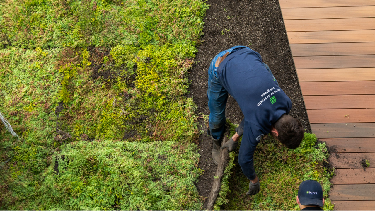 Kultuurtechnisch Hoveniersbedrijf Du Pré B.V. Helmond afbeelding 6
