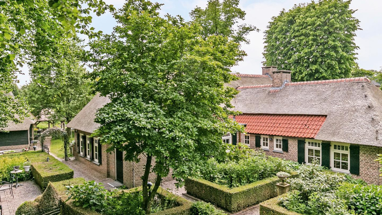 Sorensen Stables EU B.V. Hoogeloon afbeelding 1