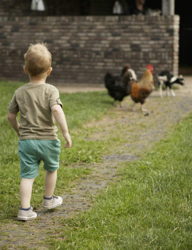 Hollandershoeve Reusel afbeelding 3