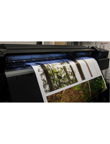 Van Mil & Van Mil bv Oirschot afbeelding 3 Van Mil & Van Mil bv Oirschot afbeelding 3