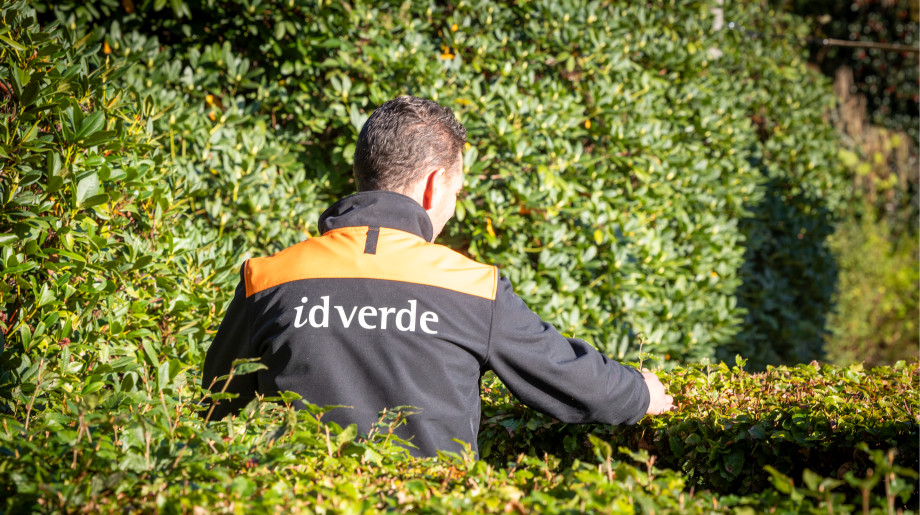 idverde Realisatie B.V. Haaren afbeelding 4