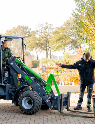 Tuinplantenwinkel.nl Knegsel afbeelding 3