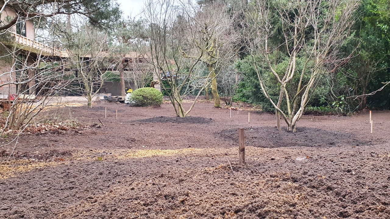 Hoveniersbedrijf Jeroen van Lange Riethoven afbeelding 1 Hoveniersbedrijf Jeroen van Lange Riethoven afbeelding 1