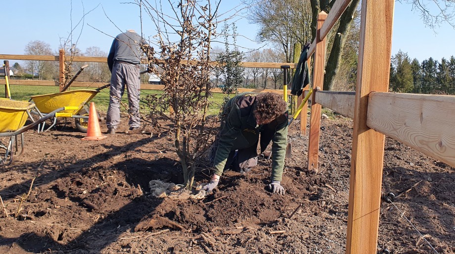Hoveniersbedrijf Jeroen van Lange Riethoven afbeelding 2 Hoveniersbedrijf Jeroen van Lange Riethoven afbeelding 2