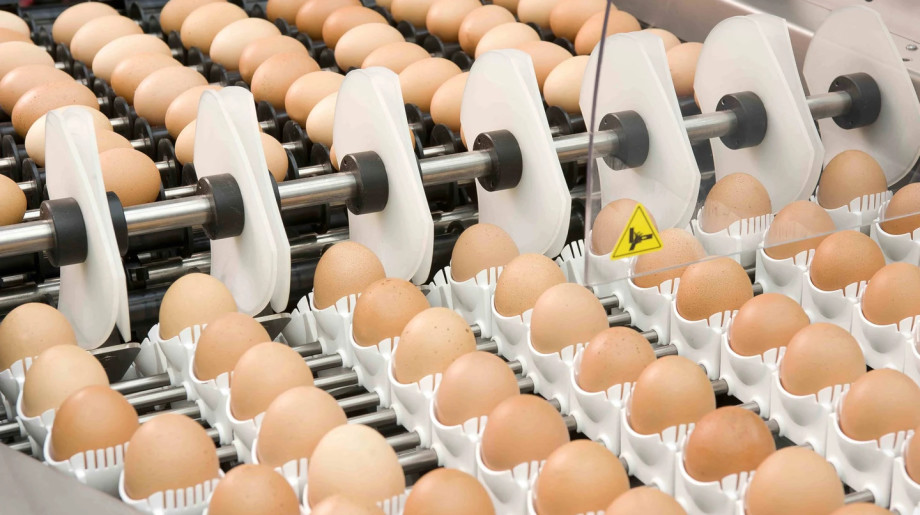 Vencomatic Group Eersel afbeelding 2