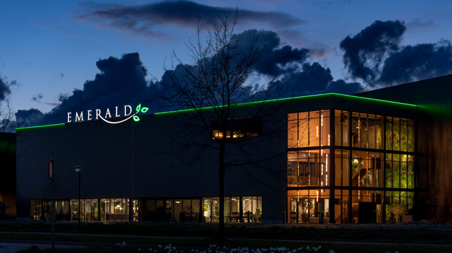 Emerald Eternal Green B.V. Eindhoven afbeelding 4 Emerald Eternal Green B.V. Eindhoven afbeelding 4