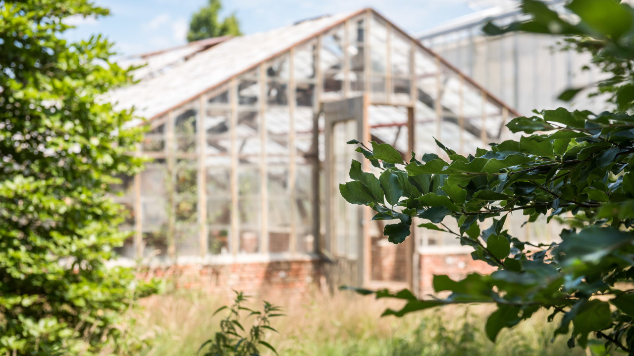 Oogenlust Eersel afbeelding 1