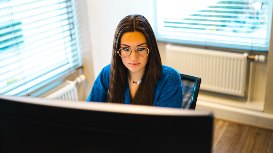 Duisenburgh  Waalre afbeelding 2 Duisenburgh  Waalre afbeelding 2