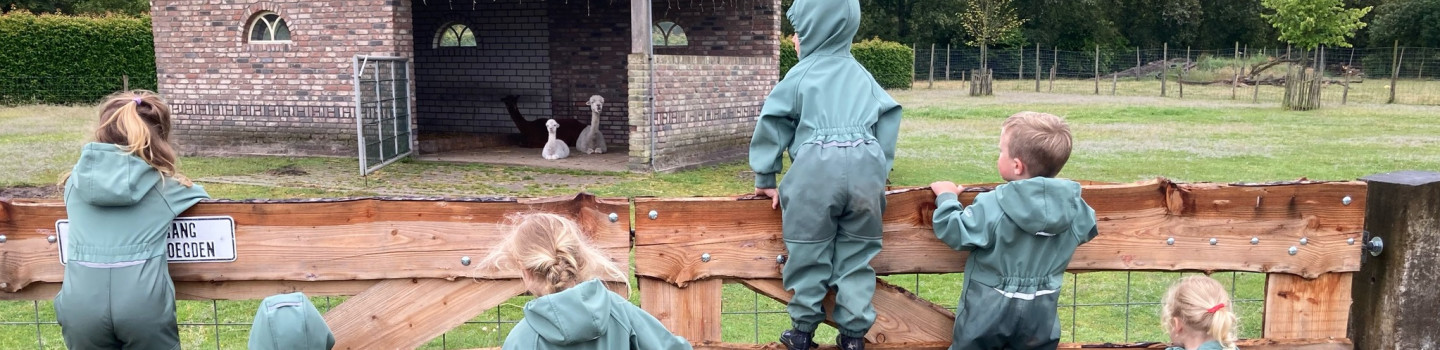 Pedagogisch Medewerker