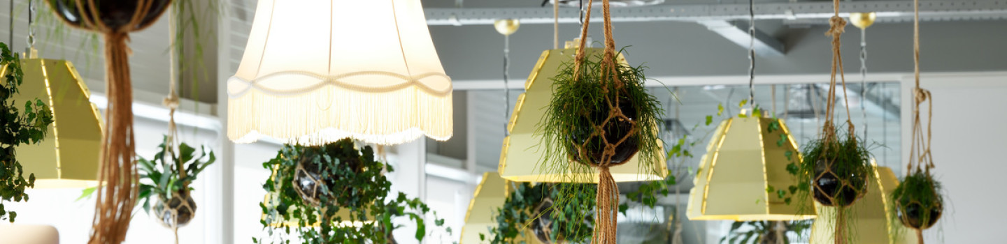 Stage Marketing | Marketplaces
