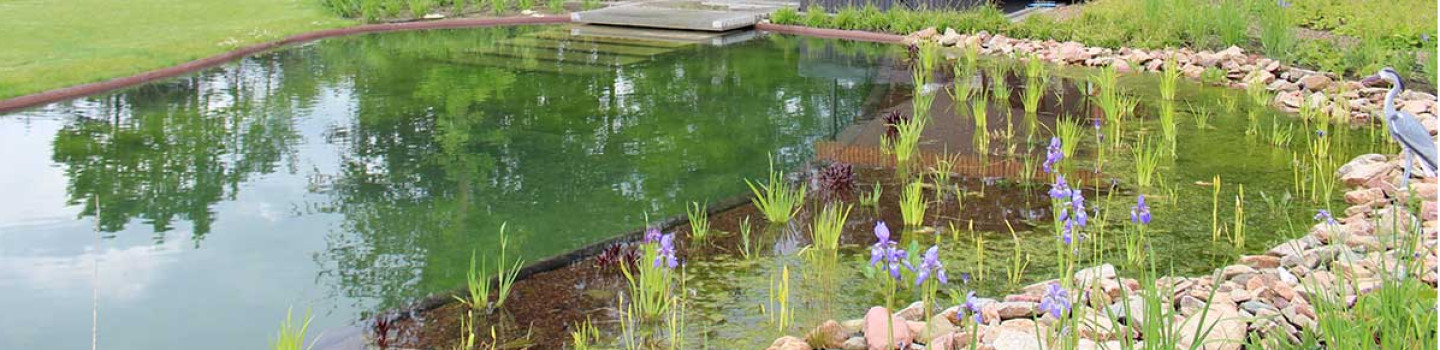 Hovenier in omgeving de Kempen