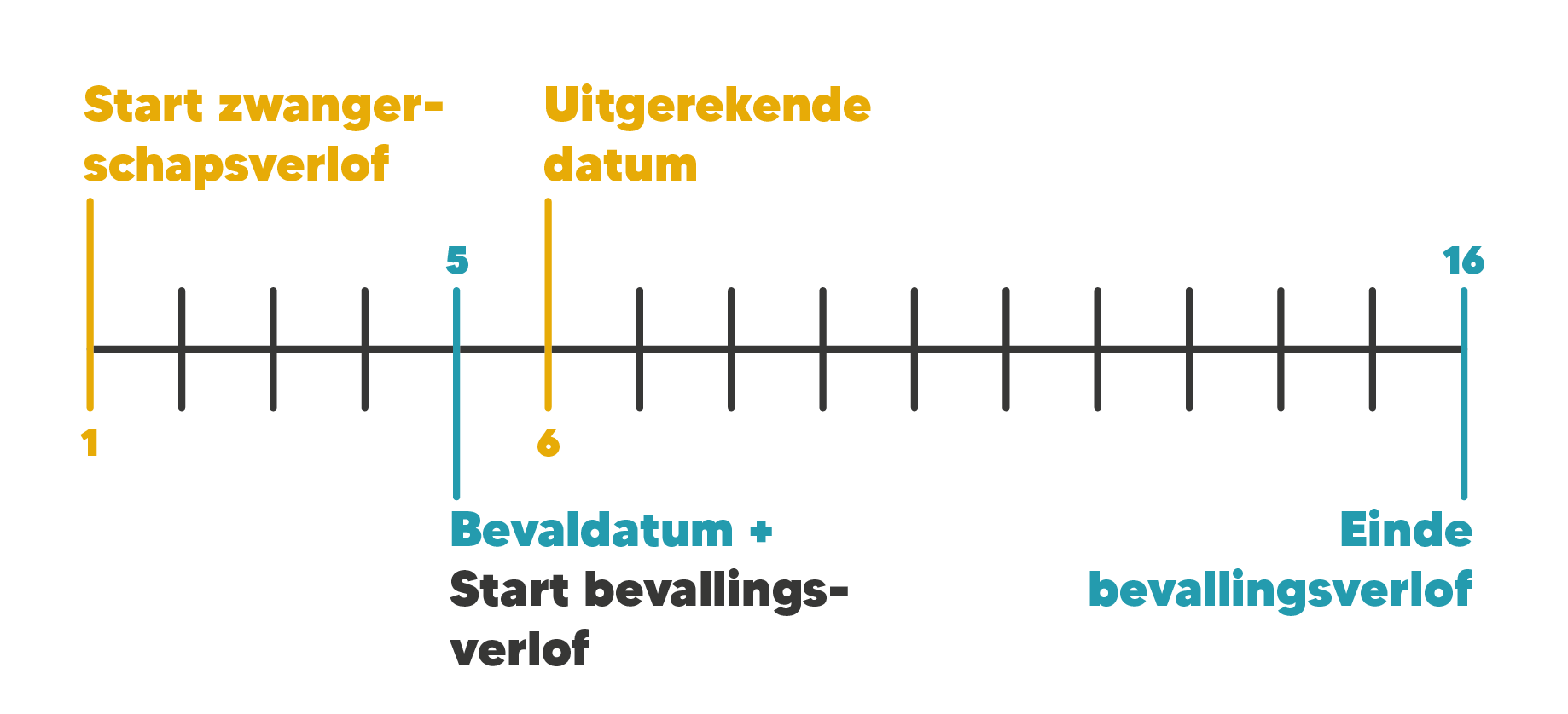 Tijdlijn zwangerschapsverlof